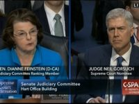 Illustration for article titled Gorsuch Hearings Two Words: Smooth Operator